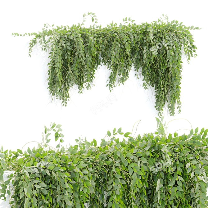  Hanging Wall Plants Vol. 109 3D model image 2