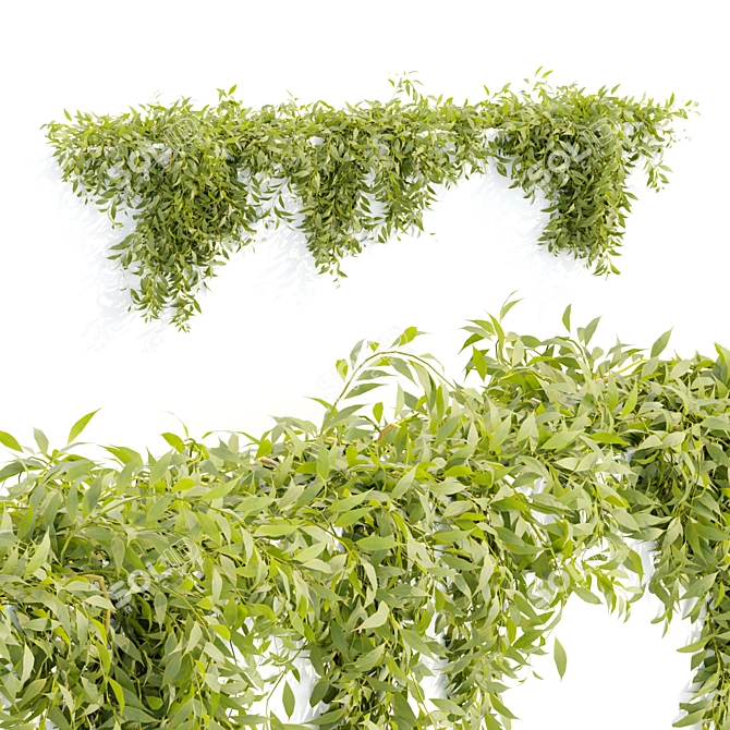  Hanging Wall Plants Vol. 109 3D model image 3