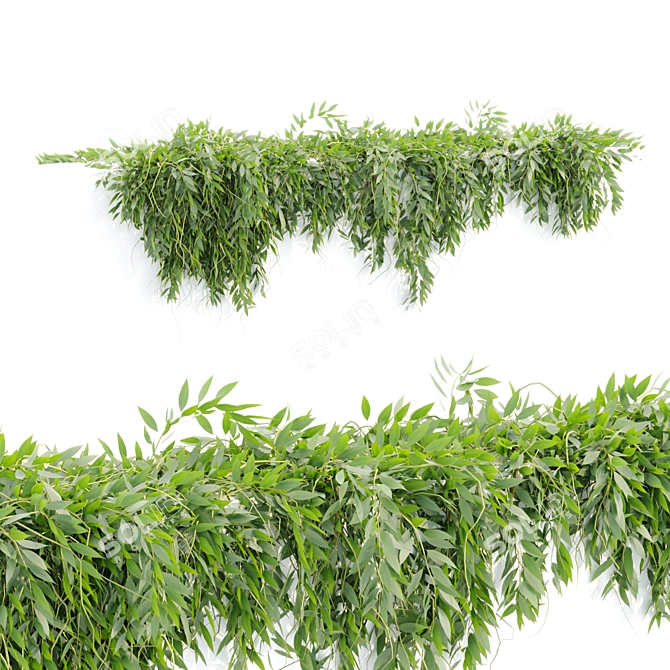  Hanging Wall Plants Vol. 109 3D model image 4