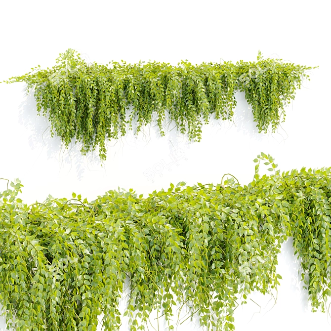  Hanging Wall Plants Vol. 109 3D model image 5