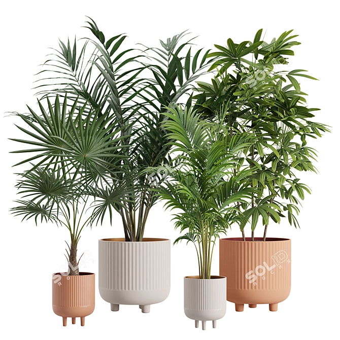 Exotic Indoor Plants Pack Bundle 3D model image 1