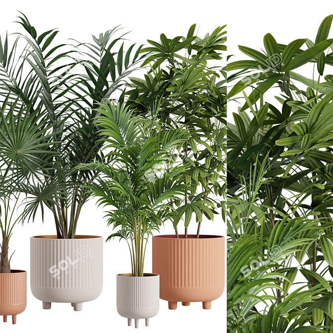 Exotic Indoor Plants Pack Bundle 3D model image 2