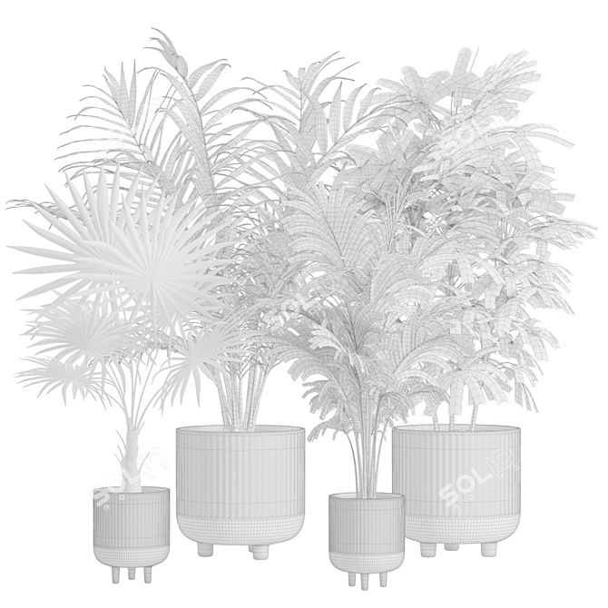 Exotic Indoor Plants Pack Bundle 3D model image 3