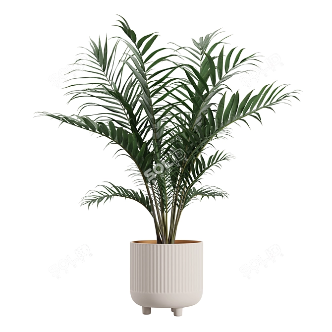 Exotic Indoor Plants Pack Bundle 3D model image 4