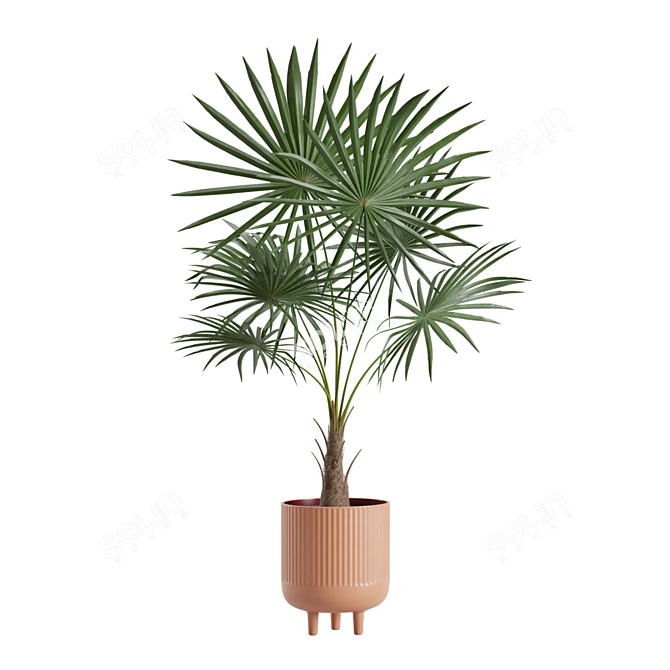 Exotic Indoor Plants Pack Bundle 3D model image 5