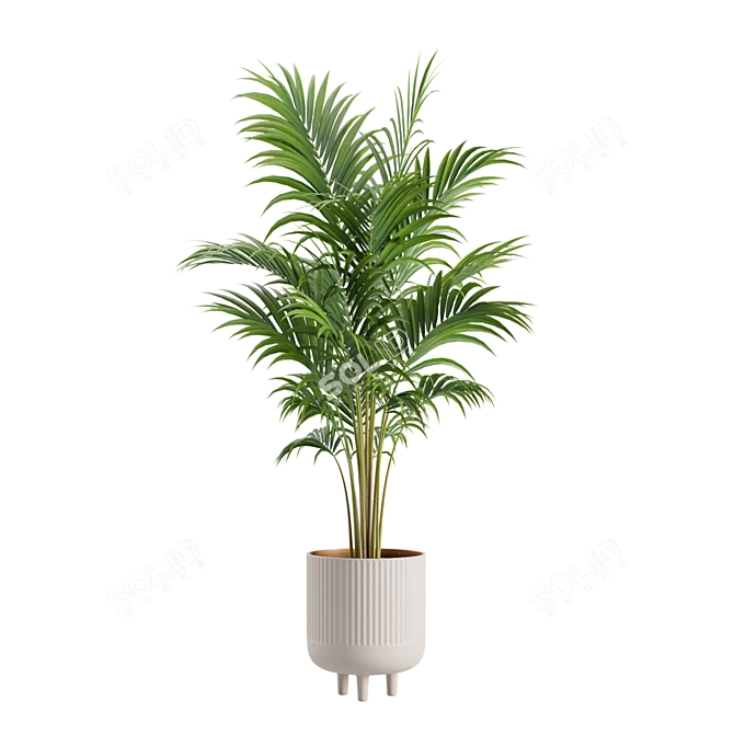 Exotic Indoor Plants Pack Bundle 3D model image 6