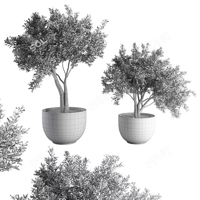Modern Indoor Plant Set 2015 3D model image 3