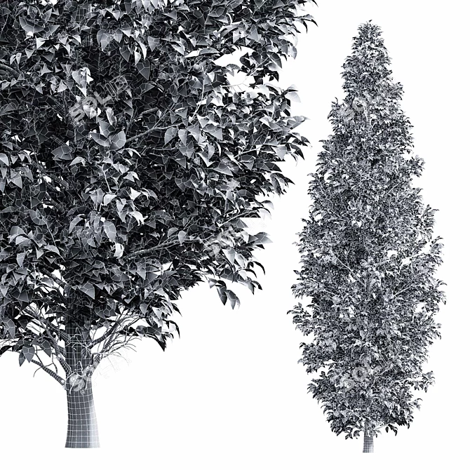 European Hornbeam Tree Collection 3D model image 6
