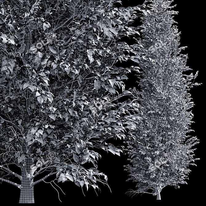 European Hornbeam Tree Collection 3D model image 7