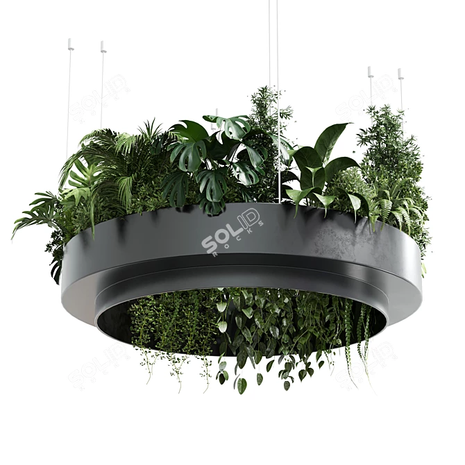 Metal Hanging Plant Collection 3Dmax 3D model image 1