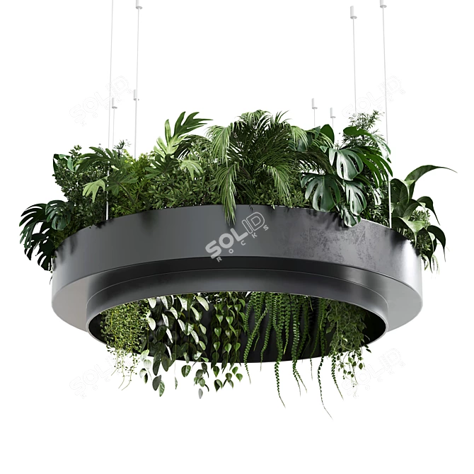 Metal Hanging Plant Collection 3Dmax 3D model image 2