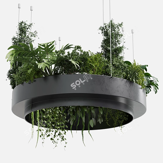 Metal Hanging Plant Collection 3Dmax 3D model image 3