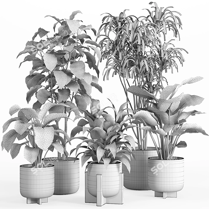 PBR-Compatible Indoor Plant Collection 3D model image 3