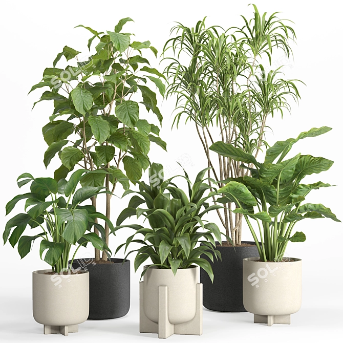 PBR-Compatible Indoor Plant Collection 3D model image 4