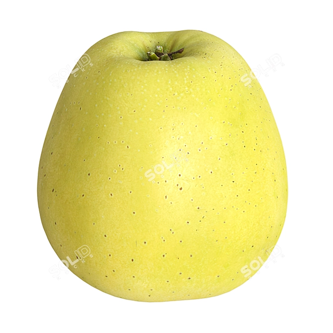 High Polygon Apple Model 3D model image 3