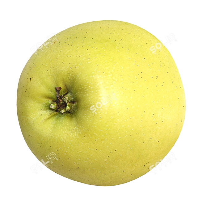 High Polygon Apple Model 3D model image 4