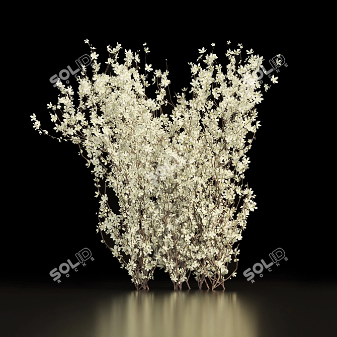 Premium Blackthorn Outdoor Flower Model 3D model image 5