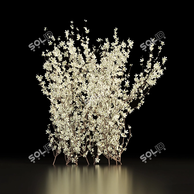 Premium Blackthorn Outdoor Flower Model 3D model image 6