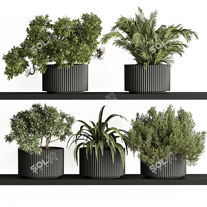 Mini Plant Pot Set 403 3D model image 1