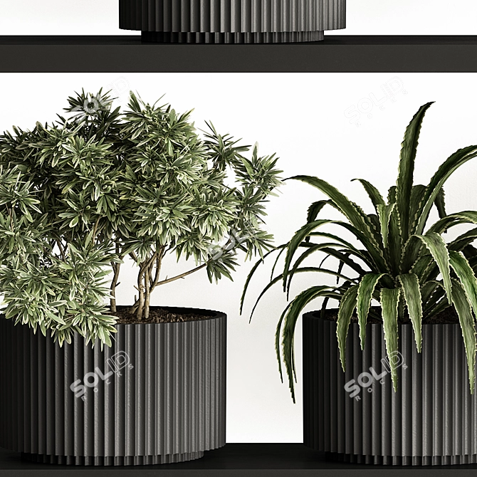 Mini Plant Pot Set 403 3D model image 5