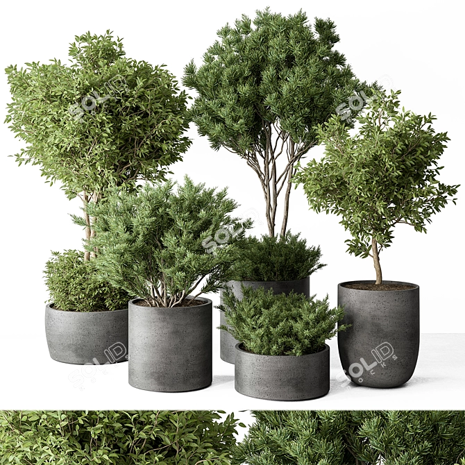 Foliage Duo Set - Potted Verdure 3D model image 1