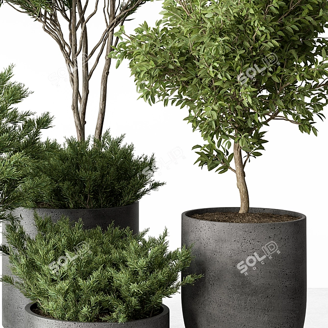 Foliage Duo Set - Potted Verdure 3D model image 2