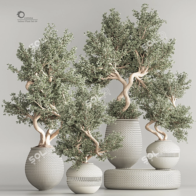 Modern Indoor Plant Set 64 3D model image 1