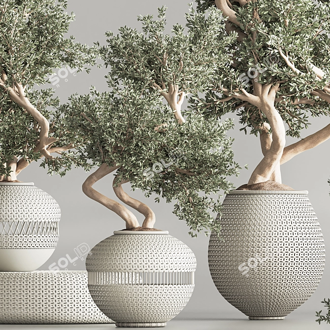 Modern Indoor Plant Set 64 3D model image 4