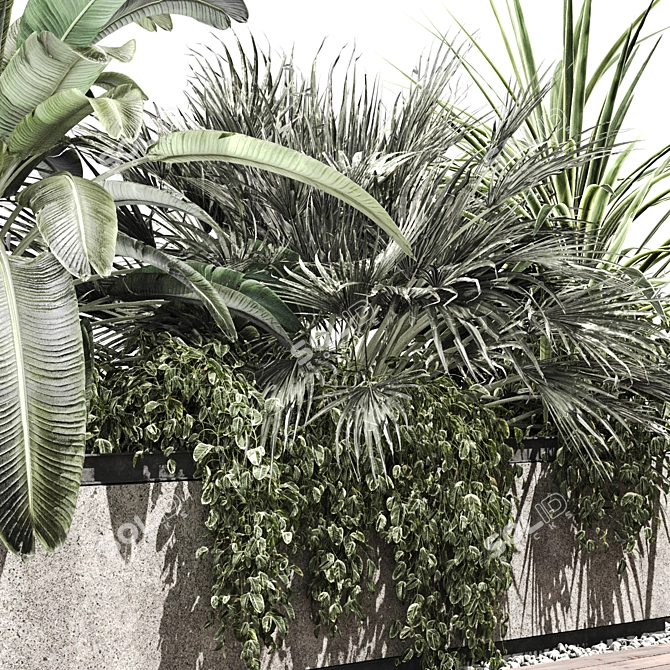 Tropical Plant Concrete Planter V2 3D model image 3