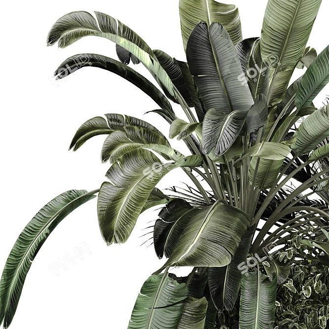 Tropical Plant Concrete Planter V2 3D model image 6