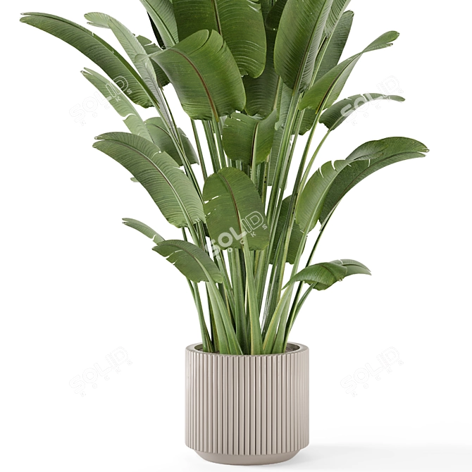 Rusty Concrete Pot Indoor Plants 3D model image 3