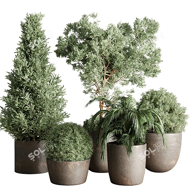 Concrete Indoor Plant Collection 3D model image 1