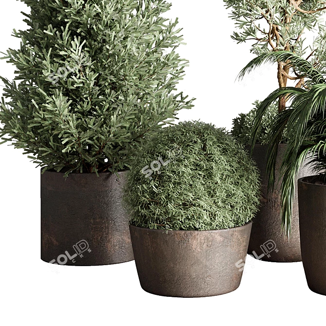 Concrete Indoor Plant Collection 3D model image 2