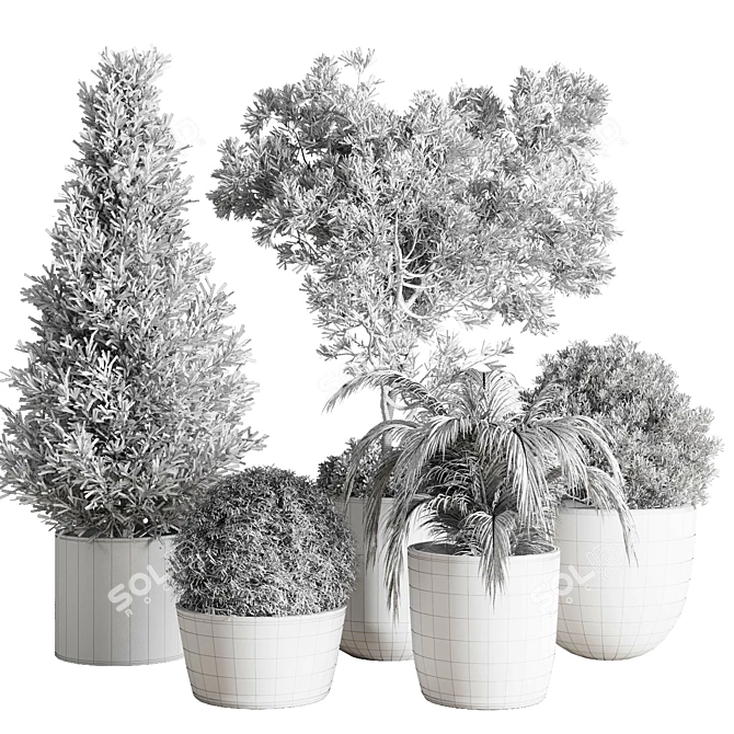 Concrete Indoor Plant Collection 3D model image 5