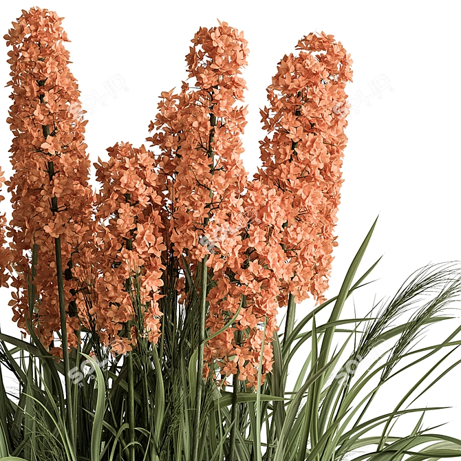 Hyacinth Flower Bush Set 3D model image 1