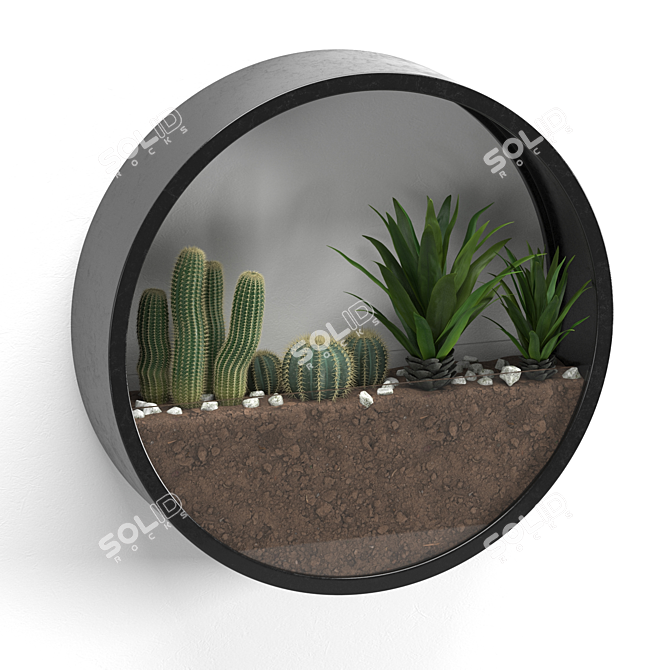 Round Wall-mounted Florarium 3D model image 1