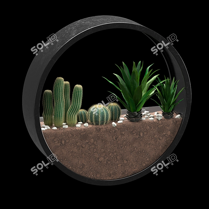 Round Wall-mounted Florarium 3D model image 2