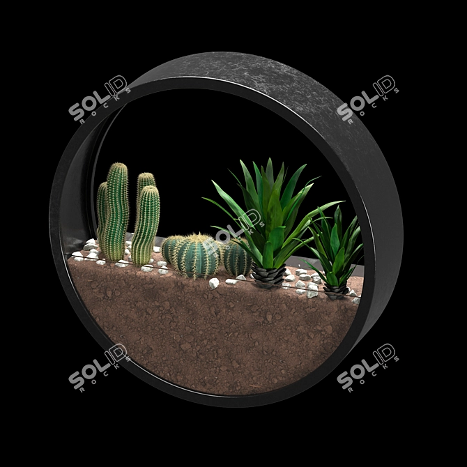 Round Wall-mounted Florarium 3D model image 3