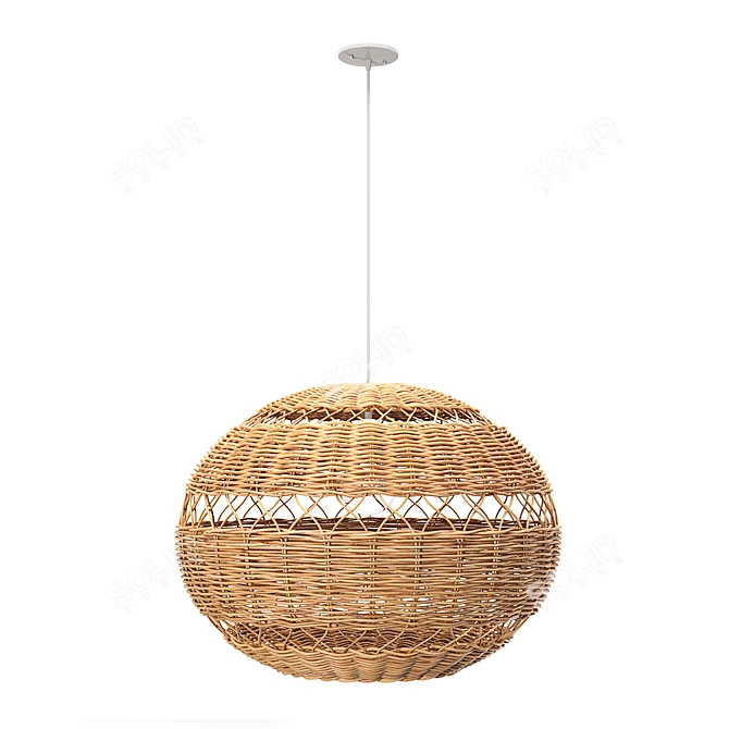 Handwoven Pendant Light, Adjustable Height 3D model image 9