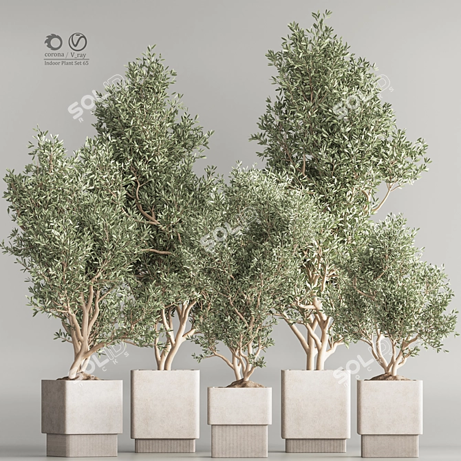 Modern Indoor Plant Set 65 3D model image 1