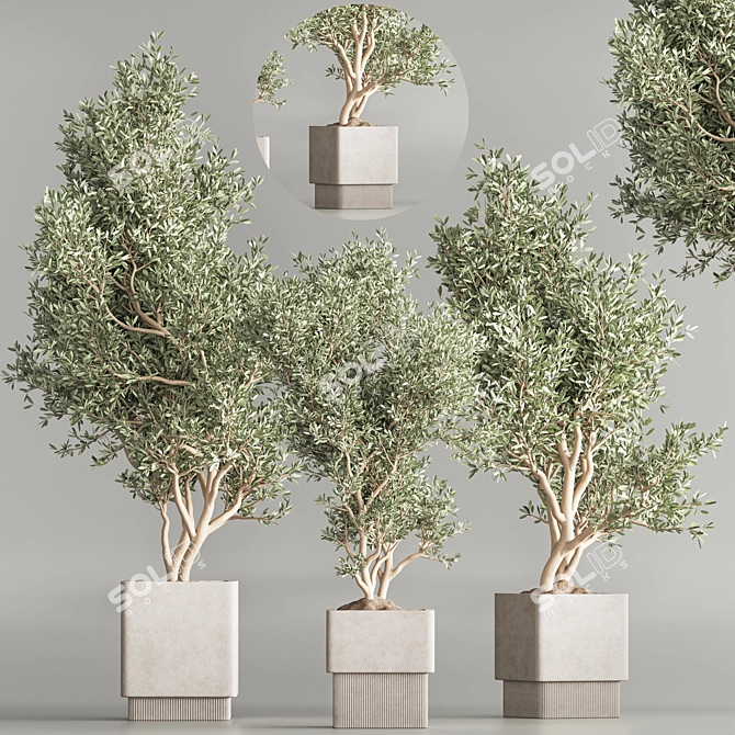 Modern Indoor Plant Set 65 3D model image 2