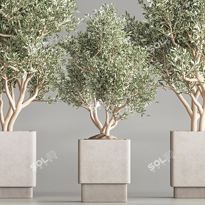 Modern Indoor Plant Set 65 3D model image 6