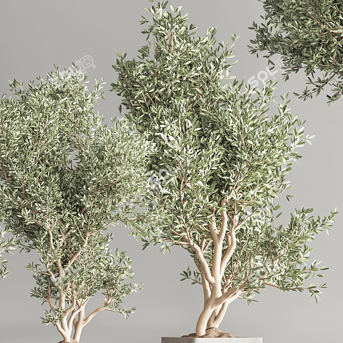 Modern Indoor Plant Set 65 3D model image 7