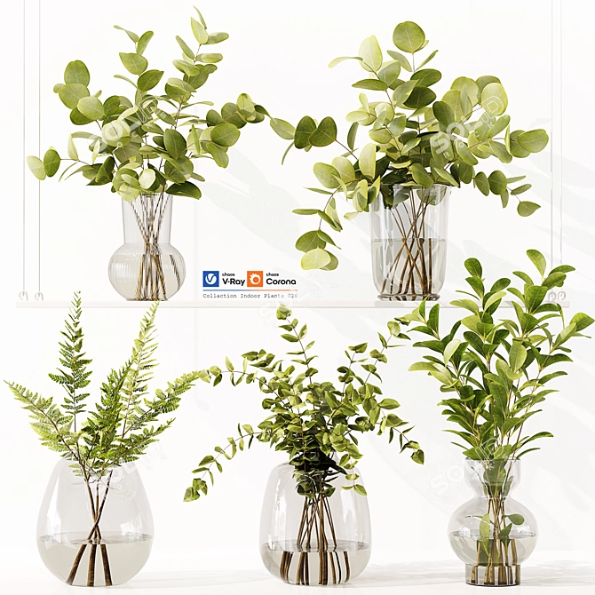 Premium Indoor Plants Model Collection 3D model image 1