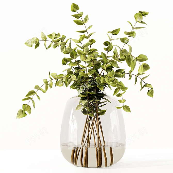 Premium Indoor Plants Model Collection 3D model image 2