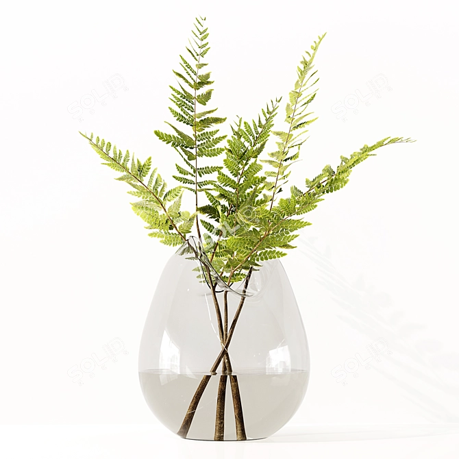 Premium Indoor Plants Model Collection 3D model image 3