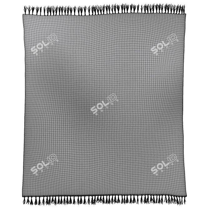 Checkerboard Hilo Tufted Rug - Black & White 3D model image 2