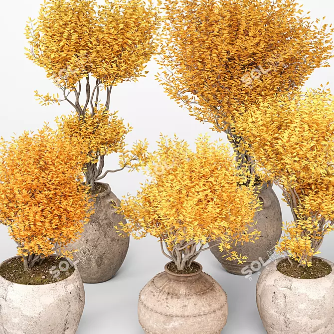  Indoor Plants 3D Model Collection 3D model image 2