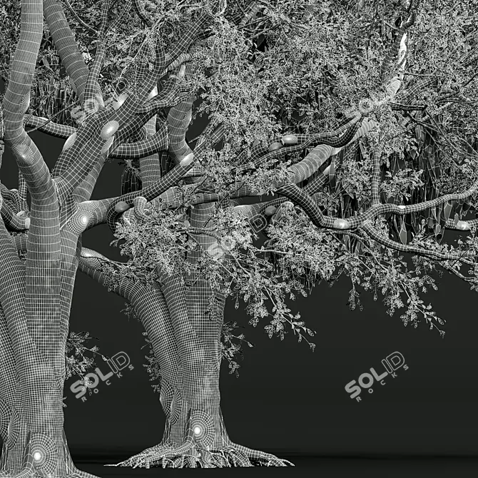 Detailed Angel Oak Live Tree 3D model image 5