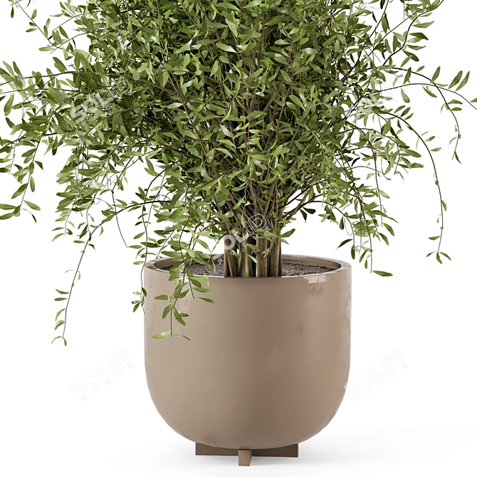 Rusty Concrete Pot Indoor Plants 3D model image 3